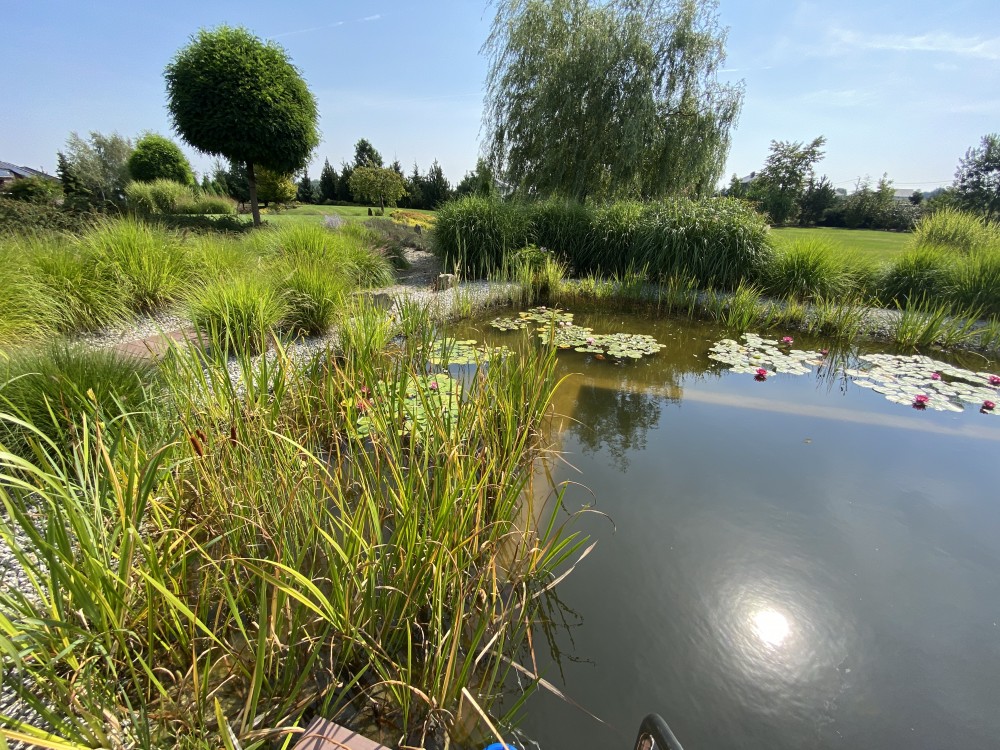 Ogród New-Garden